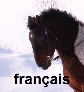 FranÃ§ais